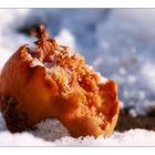 Winterapfel