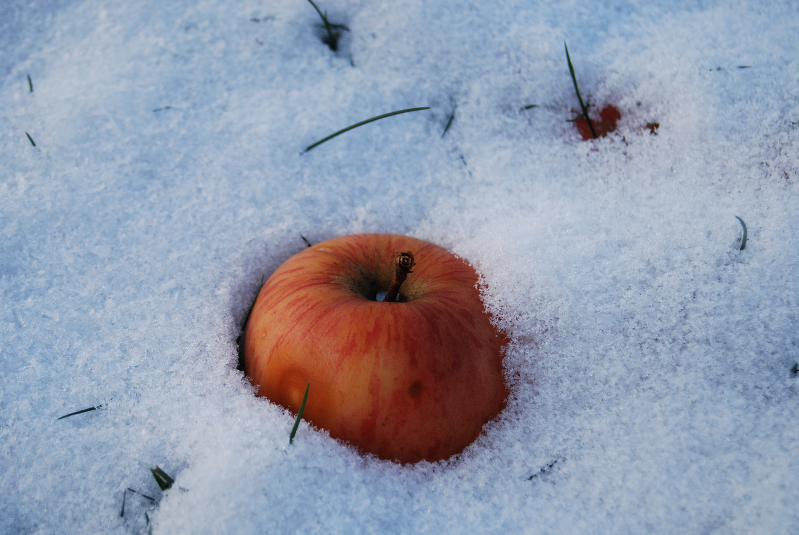 Winterapfel.....