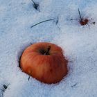 Winterapfel.....