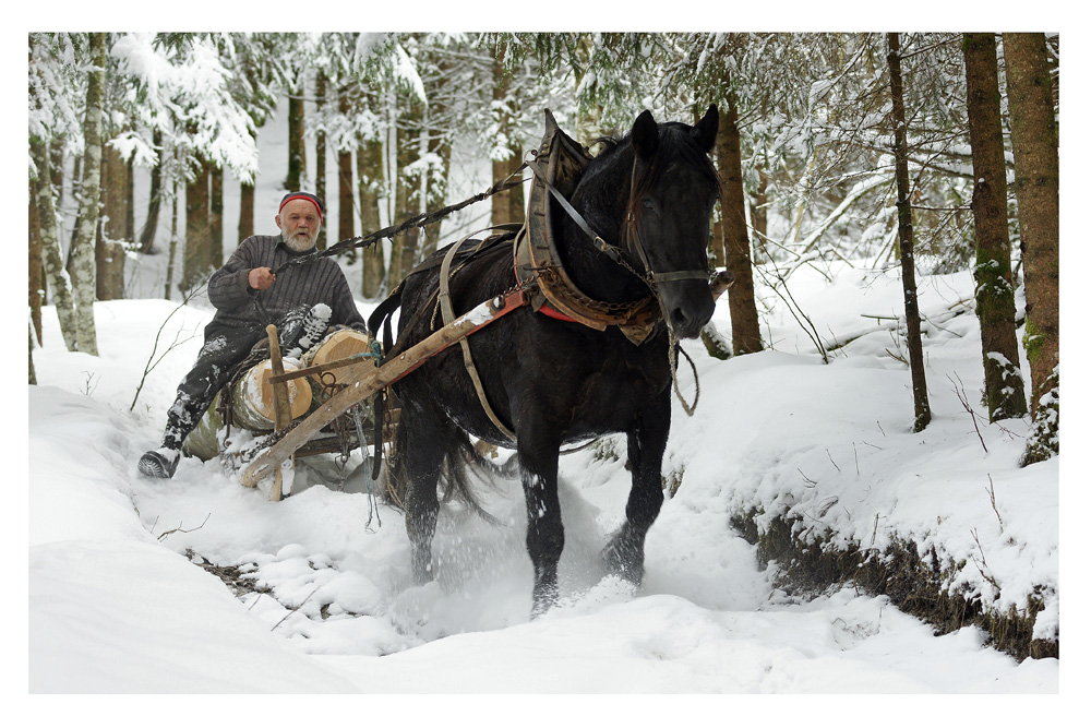 Winterarbeit