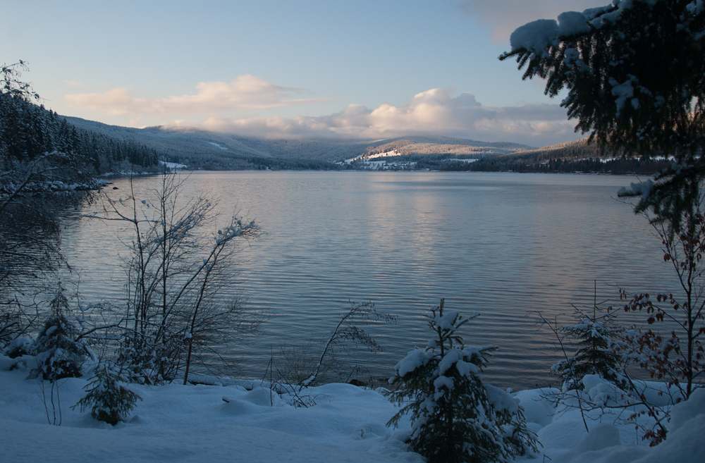 Winterausblick