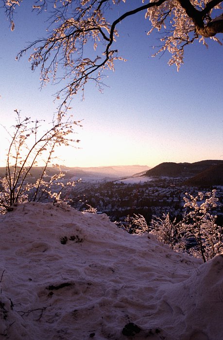 Winterausblick