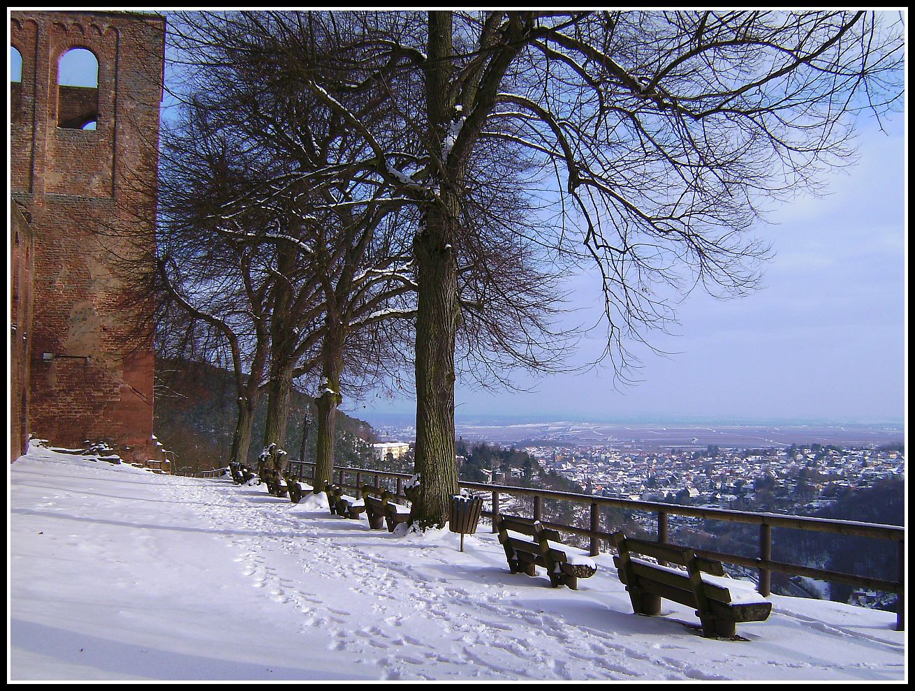 Winterausblick von der Klosterruine Limburg