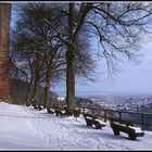 Winterausblick von der Klosterruine Limburg