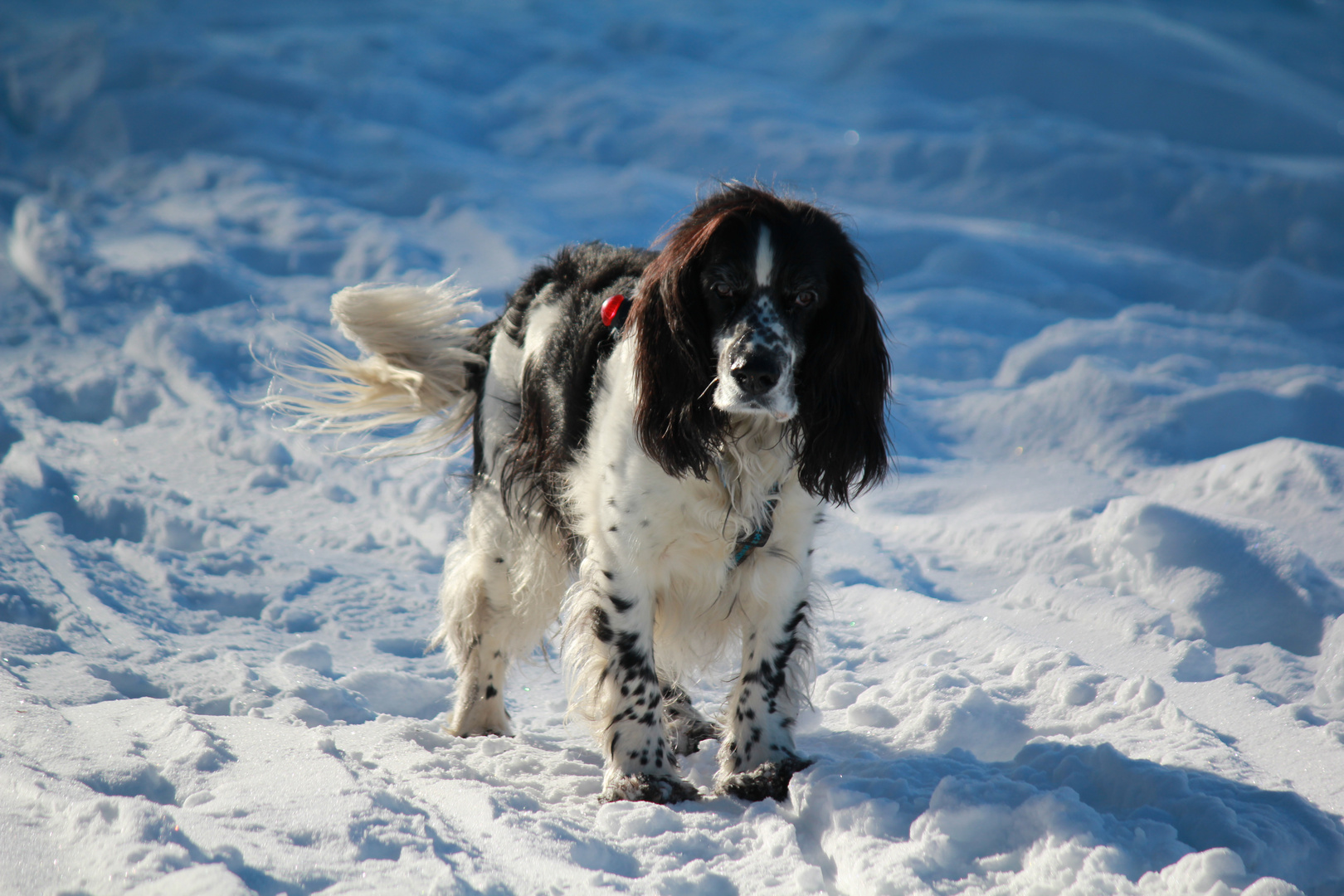 Winterausflug