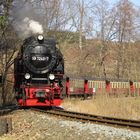 Winterausflug mit der Harzquerbahn 1.