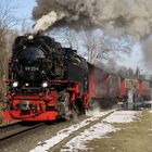 Winterausflug mit der Harzquerbahn 2.