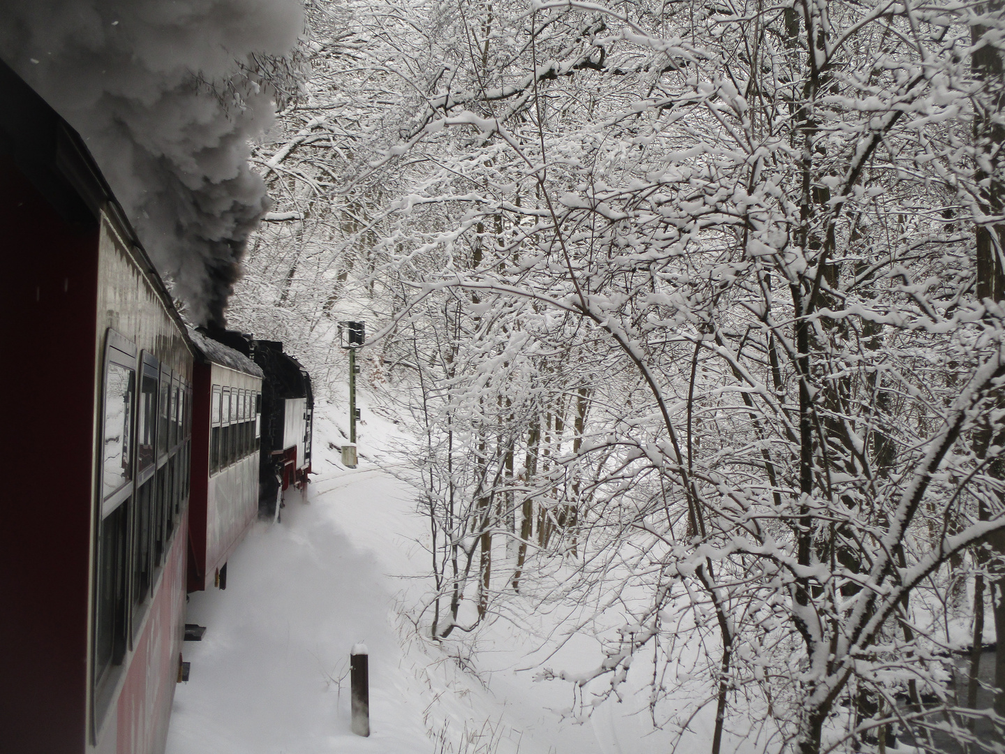 Winterausflug mit der HSB nach Wernigerode 2.