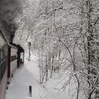 Winterausflug mit der HSB nach Wernigerode 2.