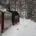 Winterausflug mit der HSB nach Wernigerode 3.