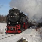 Winterausflug mit der HSB nach Wernigerode 4.