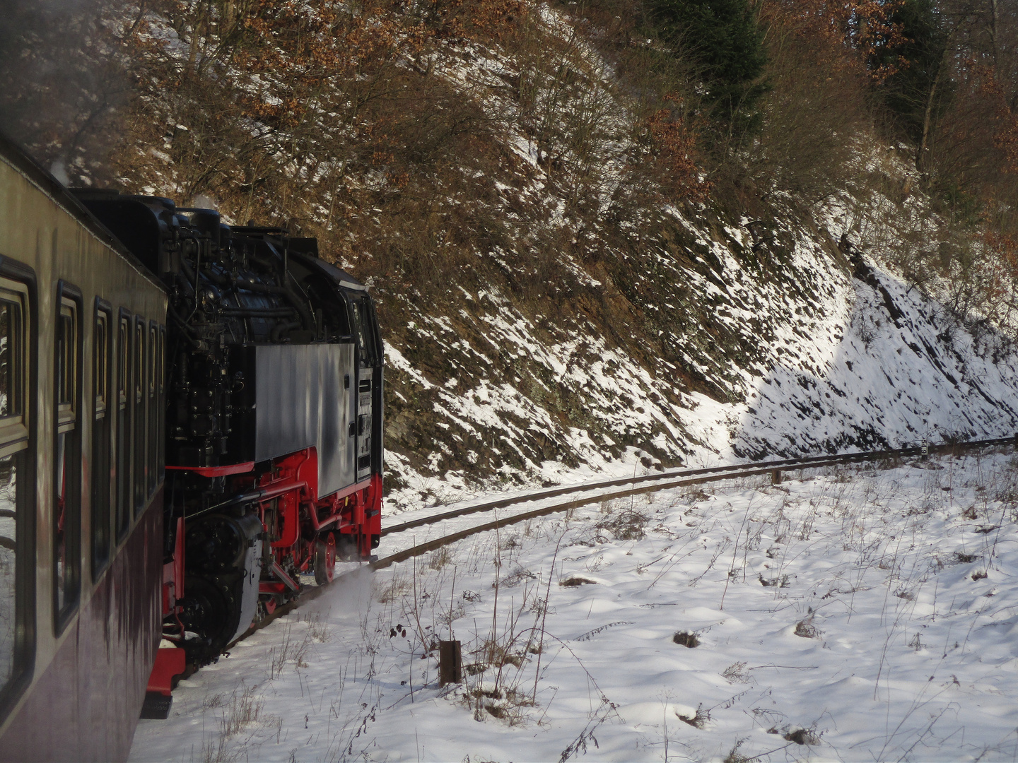 Winterausflug mit der HSB nach Wernigerode 5. 