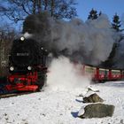 Winterausflug mit der HSB von Wernigerode nach Drei Annen Hohne 4.