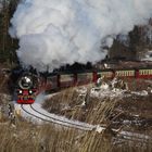 Winterausflug mit der HSB von Wernigerode nach Drei Annen Hohne 6.