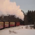 Winterausflug mit der HSB zurück nach Nordhausen 6.