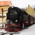 Winterausflug mit der Selketalbahn 3.