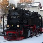 Winterausflug mit der Selketalbahn 4.