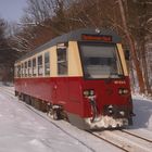 Winterausflug nach Ilfeld 2.