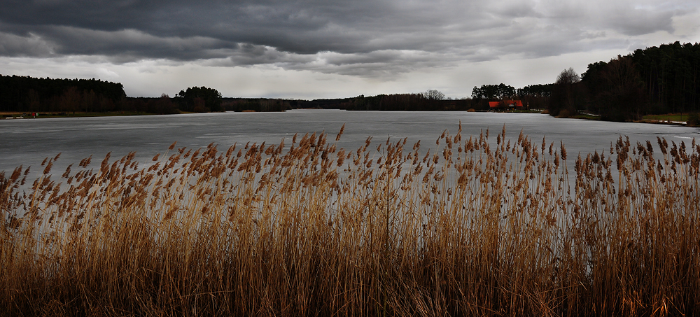 Winterausklang am Rothsee