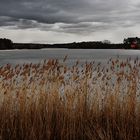 Winterausklang am Rothsee