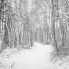 Winterausklang in den Kendelmühlfilzn