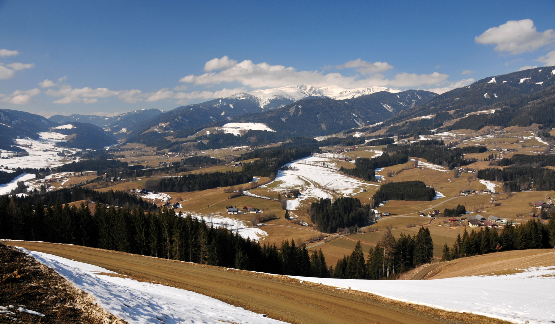 Winteraustreibung...