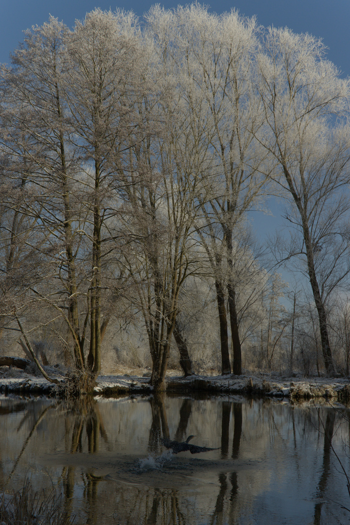 Winterbad an der Spree