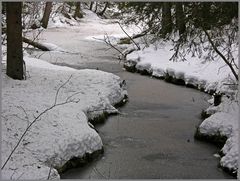 Winterbächlein