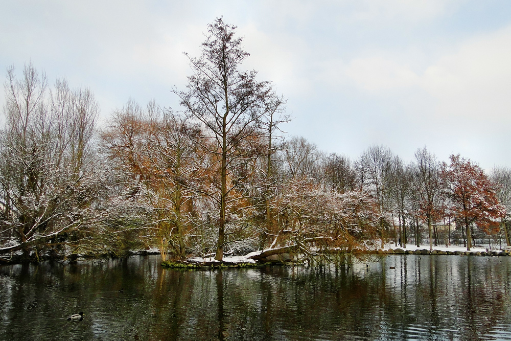 Winterbäume