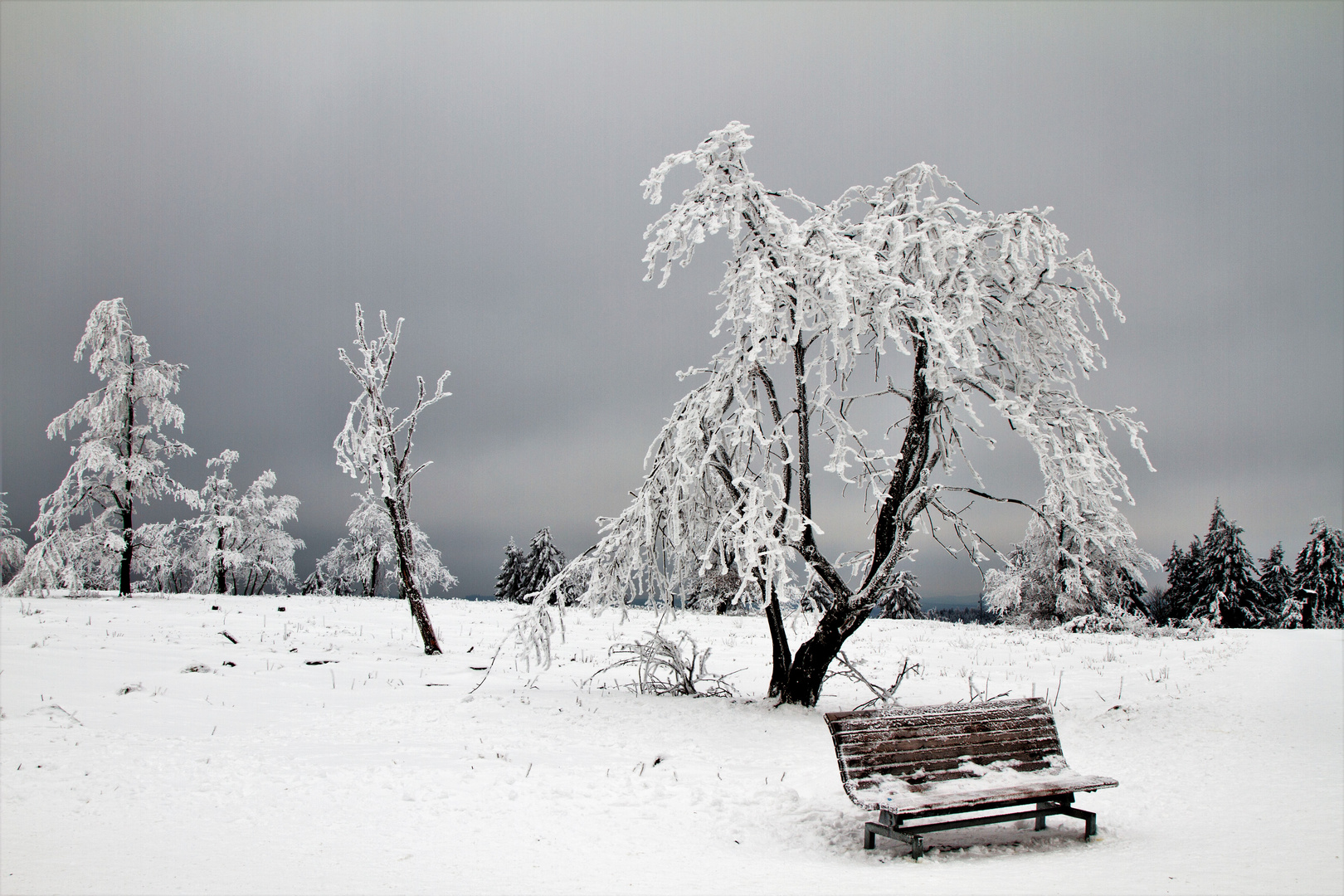 Winter.Bank