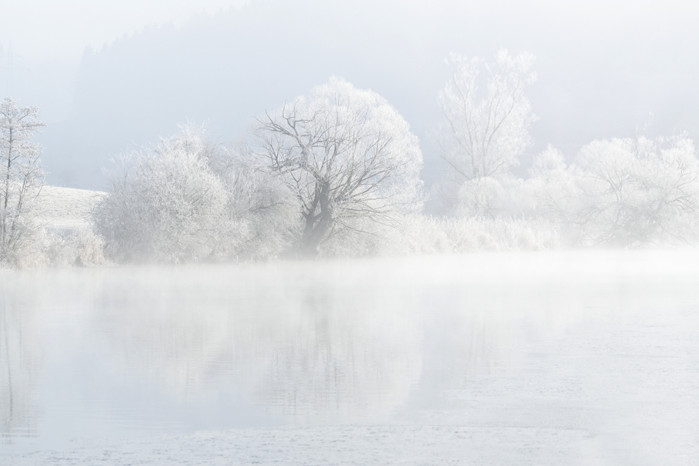 Winterbaum am Fluß