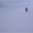 Winterbaum...