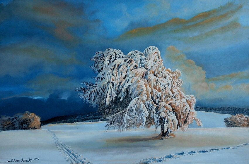 Winterbaum in der Abendsonne (60 x 40 / 2010)