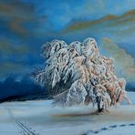 Winterbaum in der Abendsonne (60 x 40 / 2010)