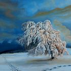 Winterbaum in der Abendsonne (60 x 40 / 2010)