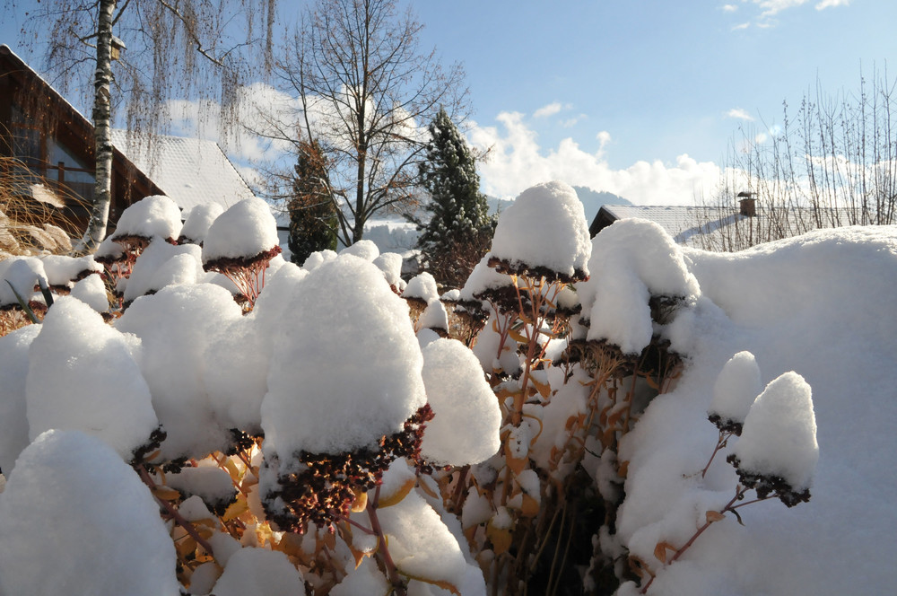 Winterbedeckung