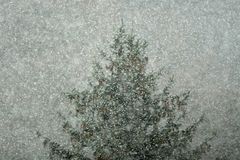 Winterbeginn im Hintertaunus 01