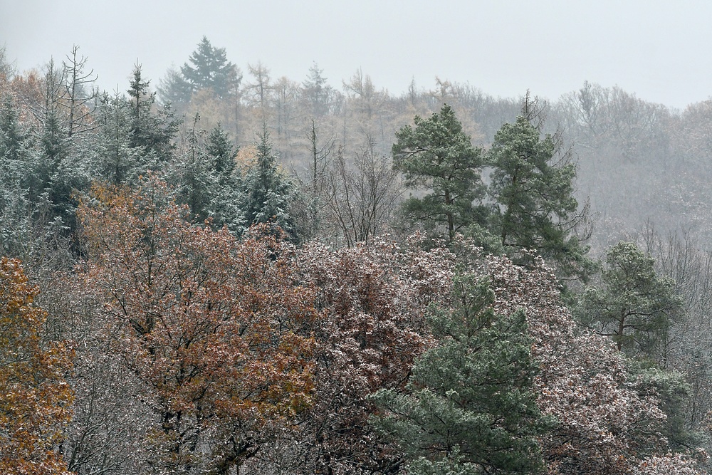 Winterbeginn im Hintertaunus 02