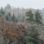 Winterbeginn im Hintertaunus 02