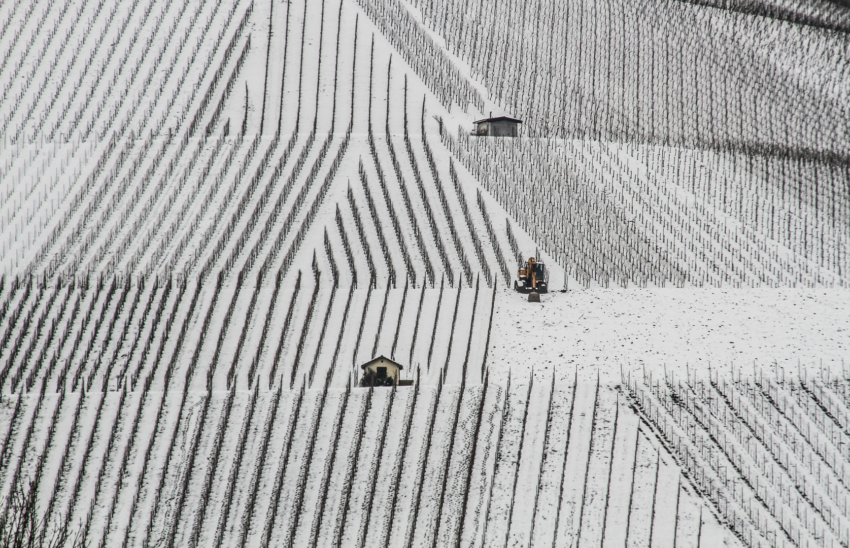 Winterbeginn im Weinberg