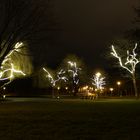 Winterbeläuchtung auf der Ziegelwiese