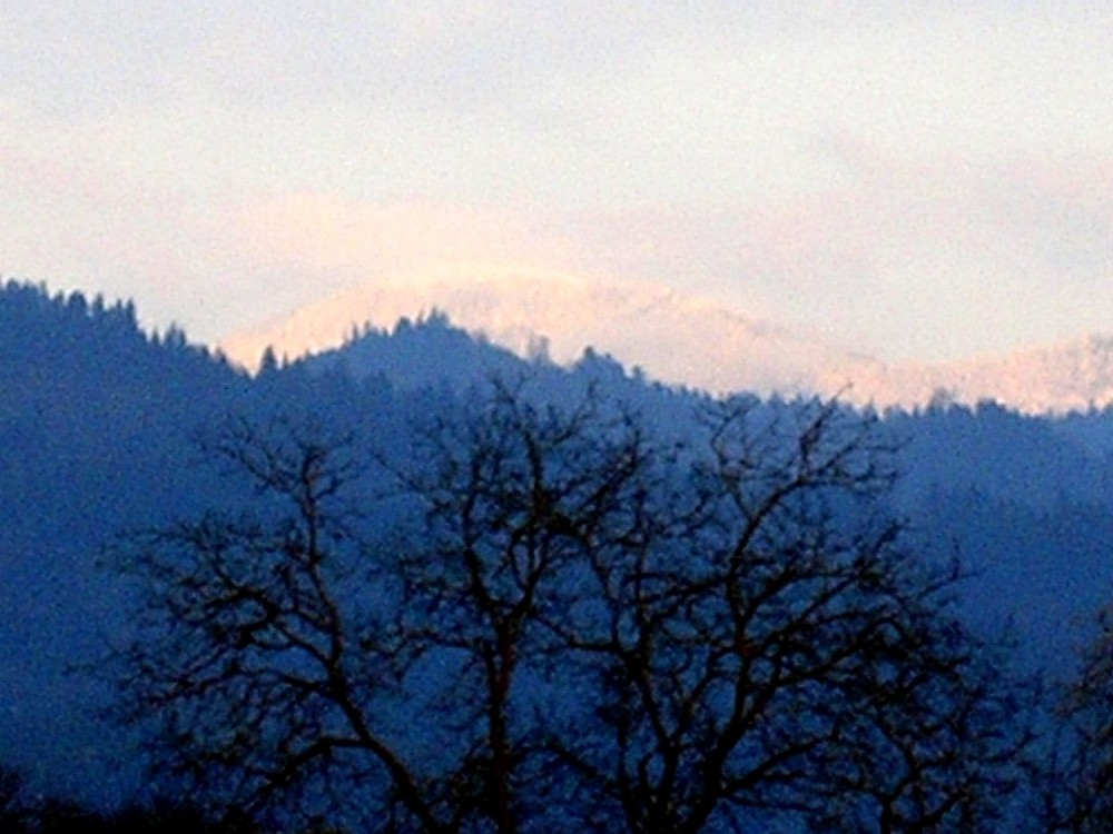 Winterbelchen im Südschwarzwald