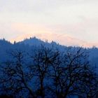 Winterbelchen im Südschwarzwald