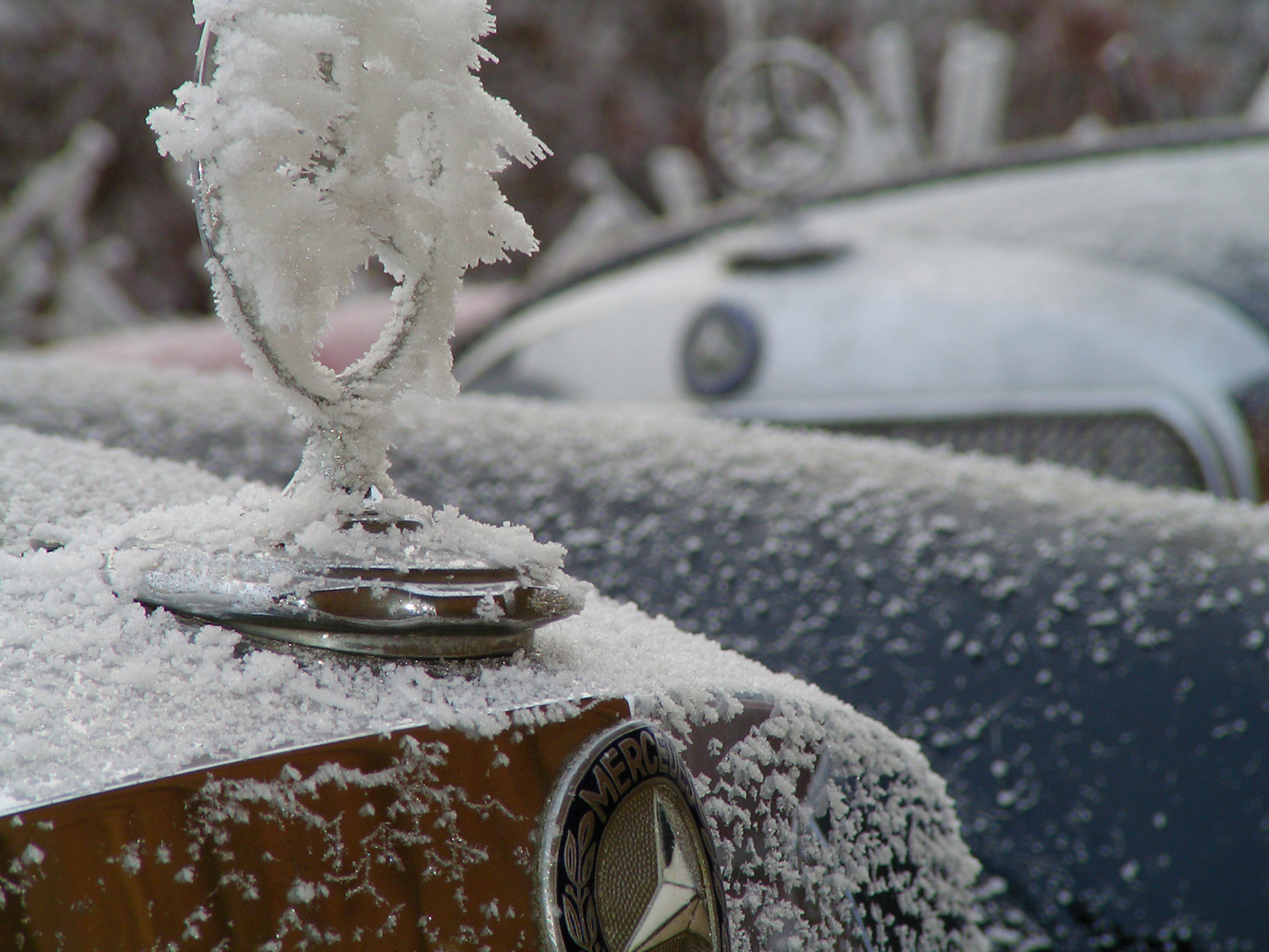 winterbenz