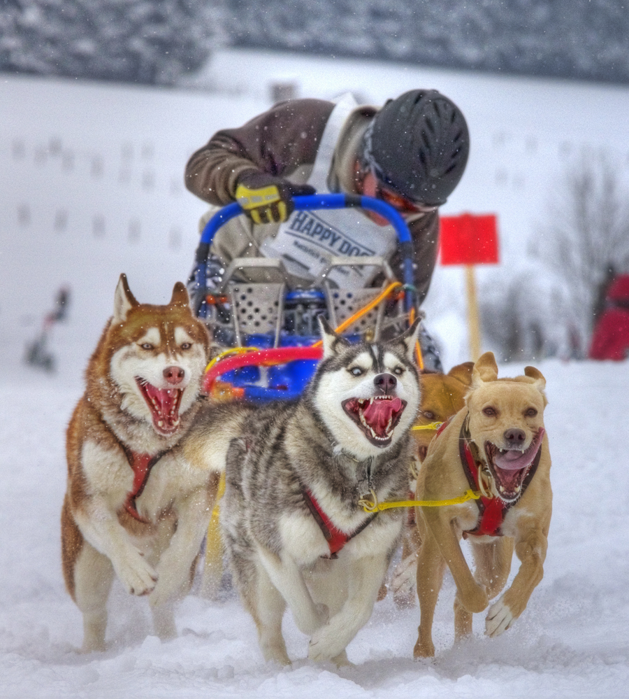 Winterberg 2010