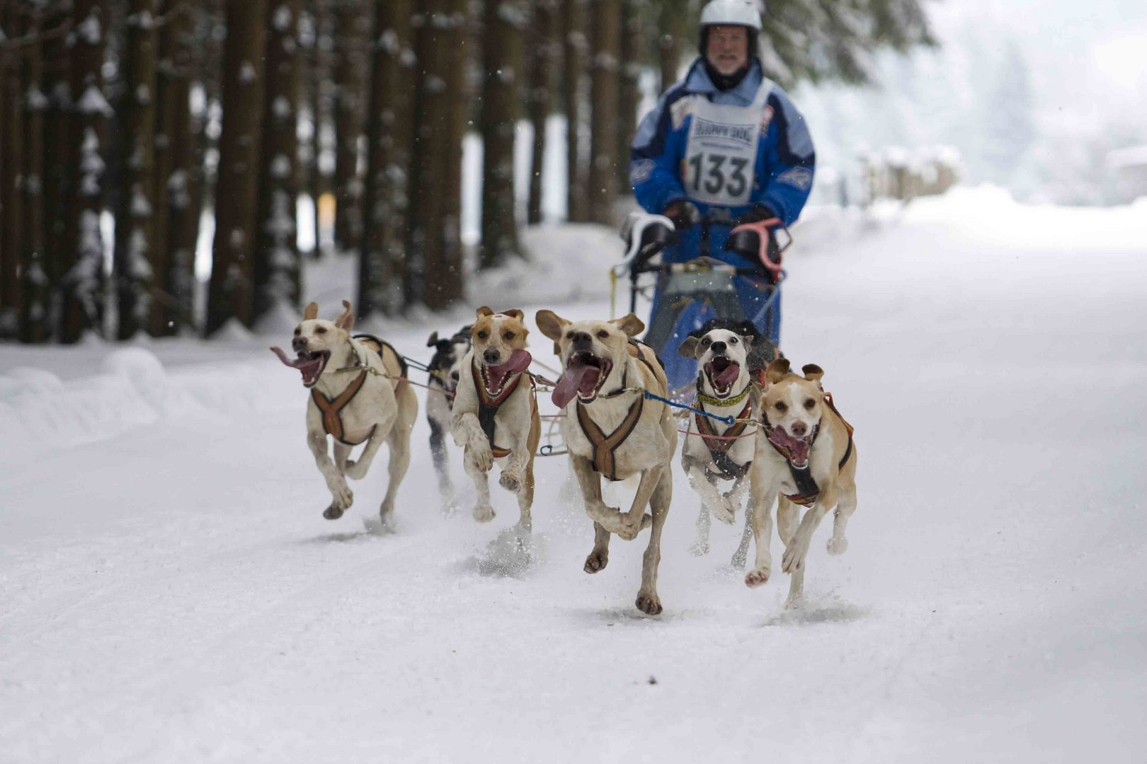 Winterberg 2010 - III