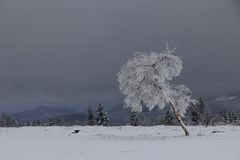 Winter(berg)