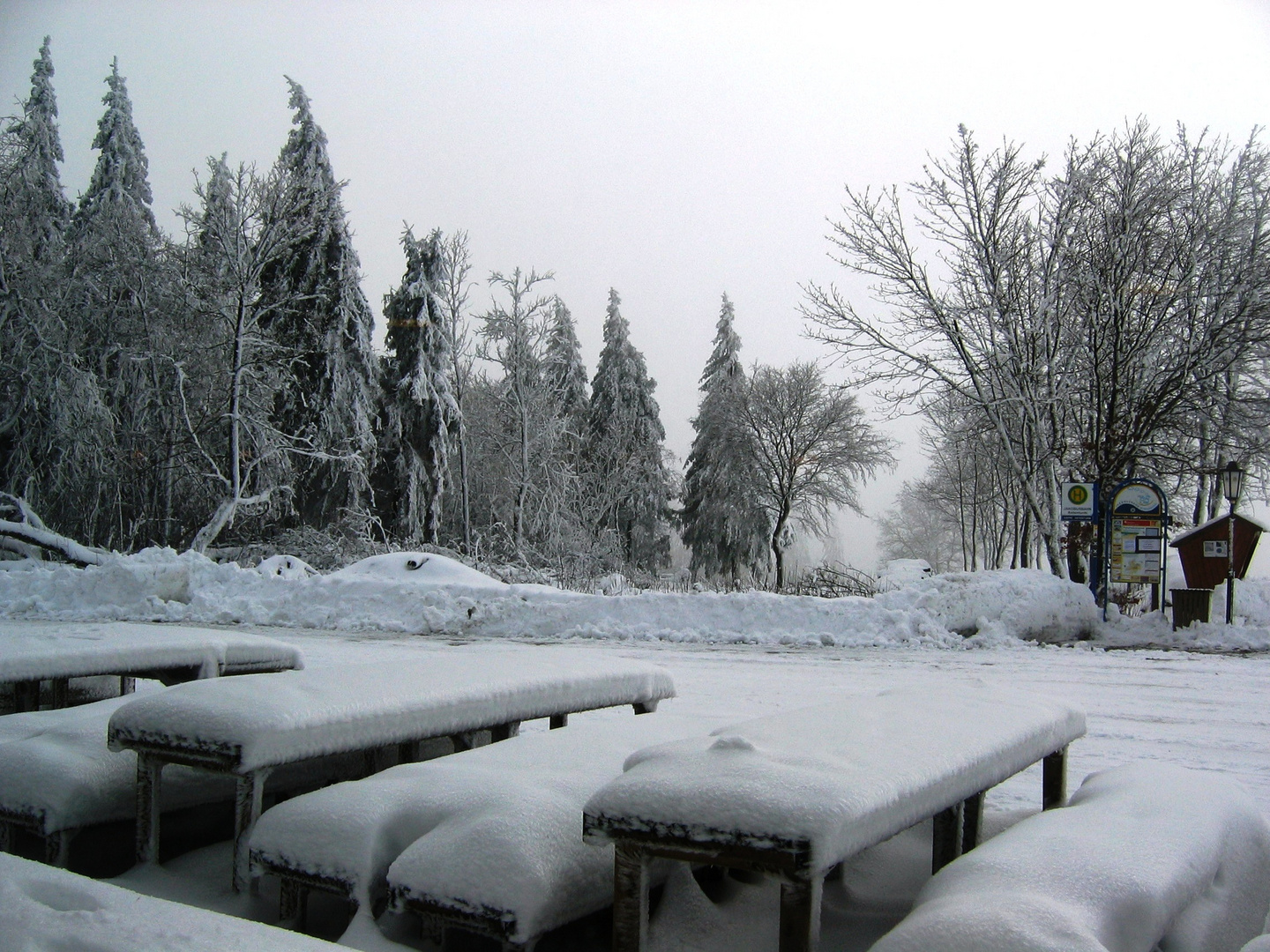 Winterberg - Auf dem kahlen Asten