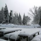 Winterberg - Auf dem kahlen Asten