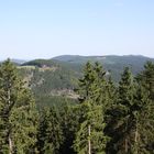 Winterberg (Hochsauerland) – Blick von der Panoramabrücke am Erlebnisberg Kappe